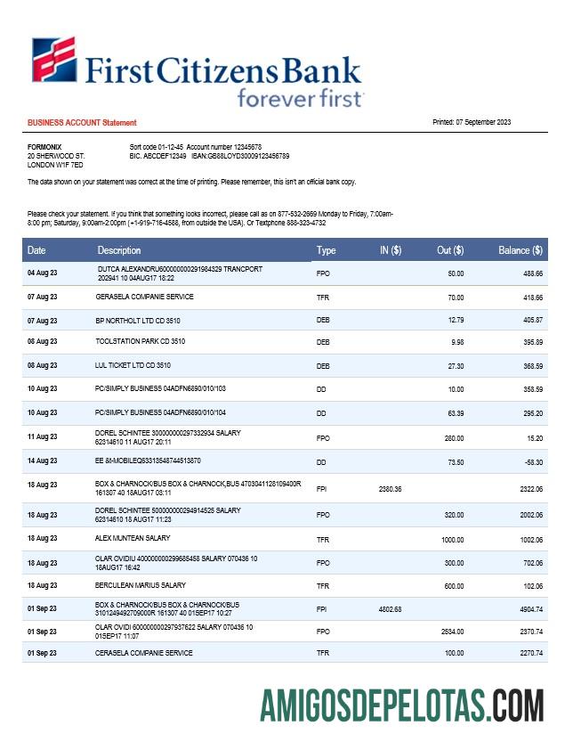 Imprimível First Citizens Bank Business Statement modelo Word e PDF